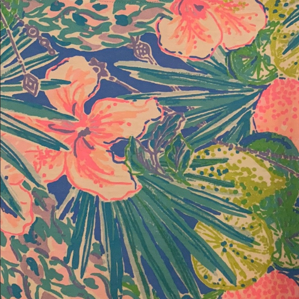 Lilly Pulitzer Finn T shirt Dress Large - Picture 2 of 9